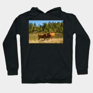 Italian Alpine Cows Hoodie